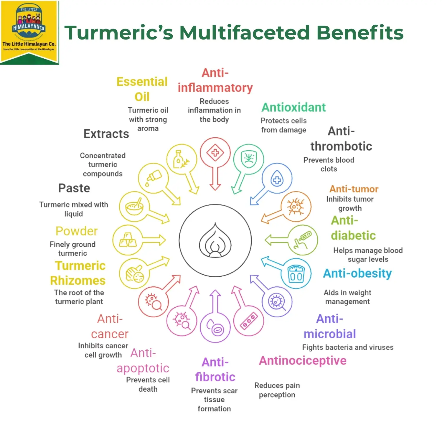 turmeric powder turmeric powder