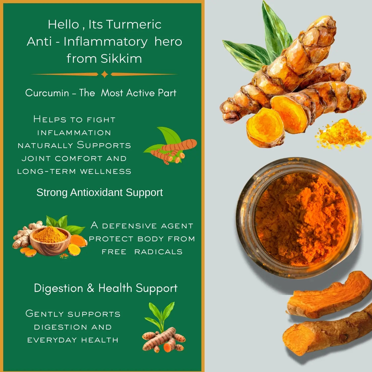 turmeric powder turmeric powder